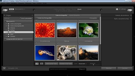 Adobe Lightroom 2025 Free Online
