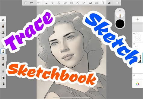 Autodesk SketchBook 2025 Free Download File
